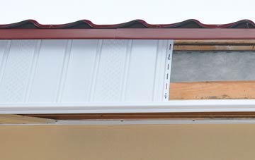 Lettan fascia repair costs